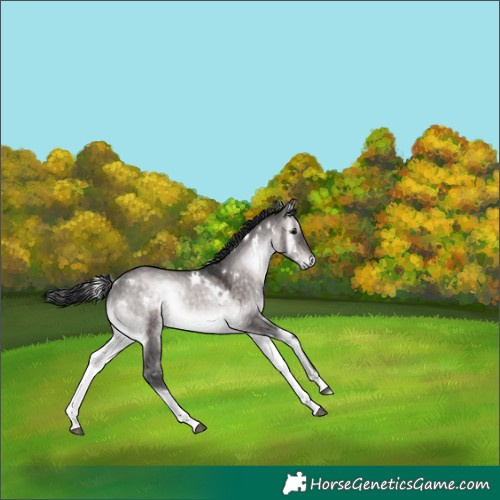 Horse Color:Platinum White Spotted Brown Onyx Tobiano 