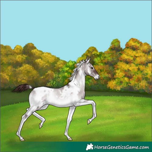 Horse Color:Platinum White Spotted Chocolate Brown Onyx Tobiano 