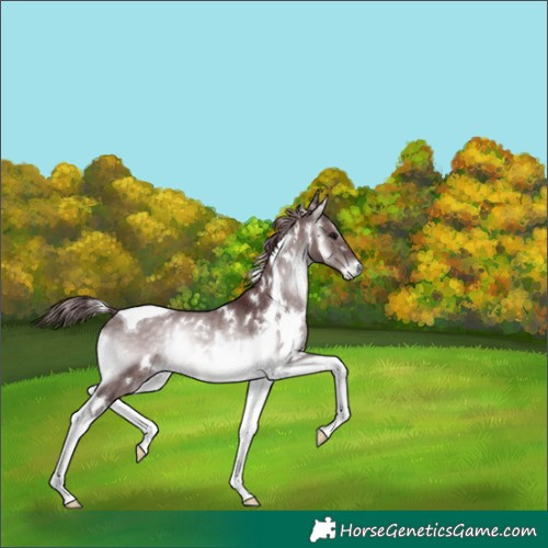 Horse Color:Platinum White Spotted Chocolate Brown Onyx Tobiano 