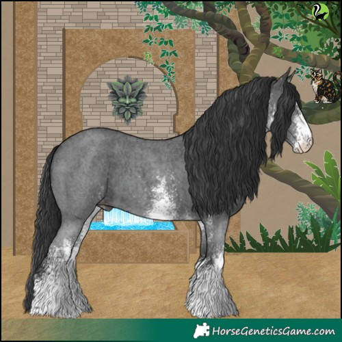 Horse Color:White Spotted Black 