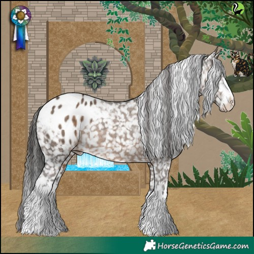 Horse Color:White Spotted Brown Dun Appaloosa 