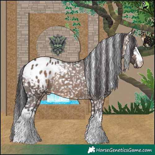 Horse Color:White Spotted Brown Dun Appaloosa 