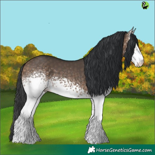 Horse Color:White Spotted Brown Dun 