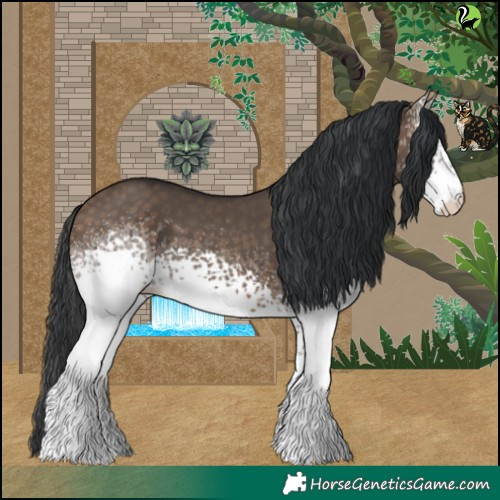 Horse Color:White Spotted Brown Dun 