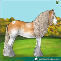 Horse Color:White Spotted Gold Cream Champagne Tobiano 