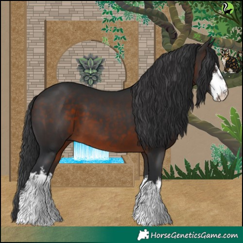 Horse Color:White Spotted Brown 
