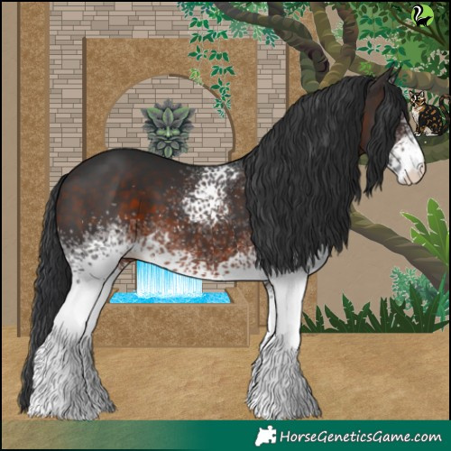 Horse Color:White Spotted Brown 