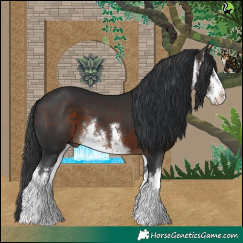 Horse Color:White Spotted Brown 