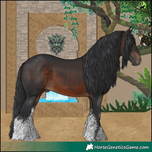 Horse Color:White Spotted Brown 