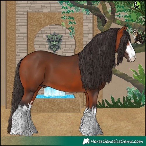 Horse Color:White Spotted Bay 