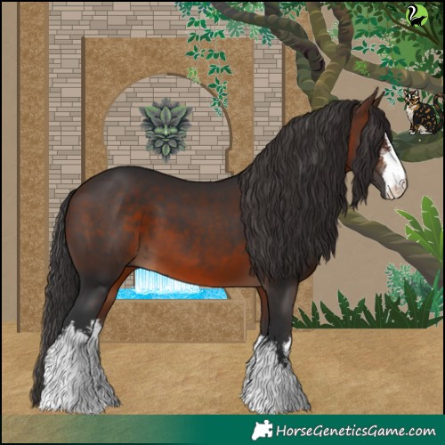Horse Color:White Spotted Brown 