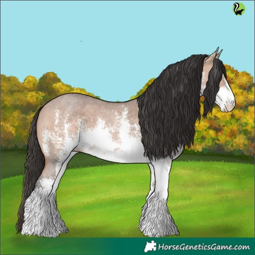 Horse Color:White Spotted Brown Dun Sabino 