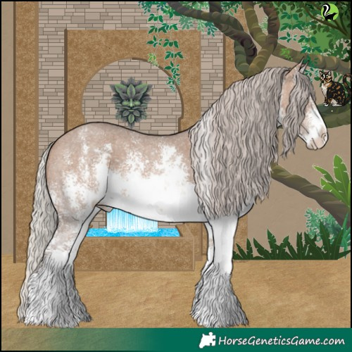 Horse Color:White Spotted Silver Brown Dun Sabino 