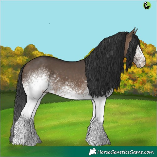 Horse Color:White Spotted Brown Dun 