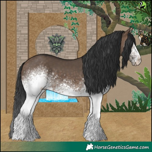 Horse Color:White Spotted Brown Dun 