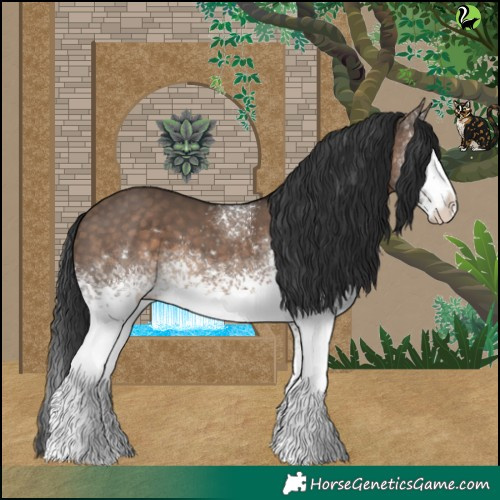 Horse Color:White Spotted Brown Dun 