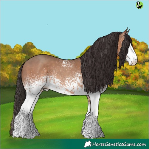 Horse Color:White Spotted Sable Champagne 