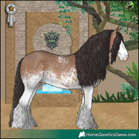 Horse Color:White Spotted Sable Champagne 