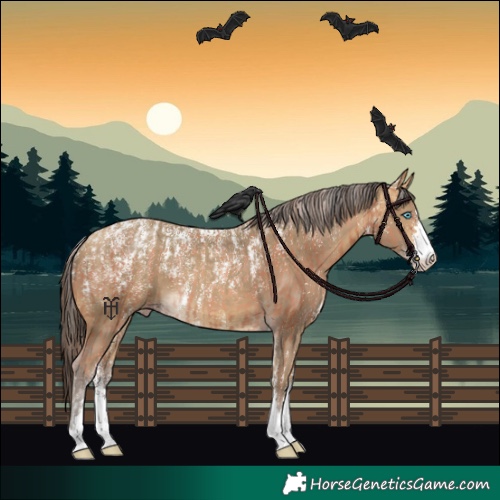 Horse Color:Powder White Gold Champagne  and Powder White Sable Cream Champagne 
