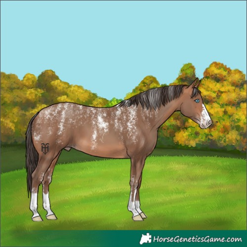 Horse Color:Powder White Sable Champagne 