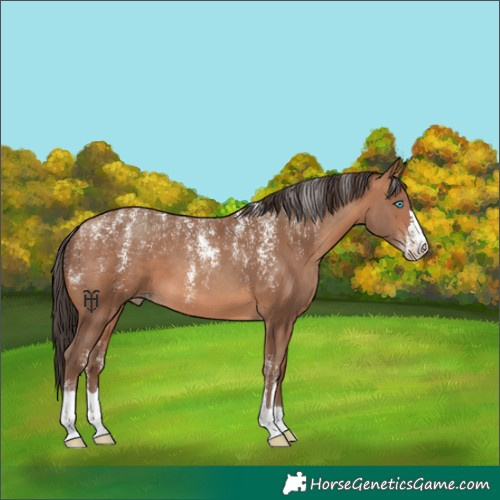 Horse Color:Powder White Sable Champagne 