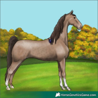 Horse Color:Classic Champagne Tobiano 