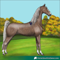 Horse Color:Silver Black 