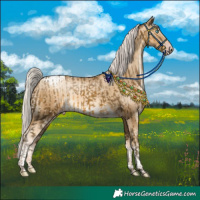 Horse Color:Gray Silver Classic Cream Champagne Sabino Tobiano Appaloosa and Gray Silver Classic Cream Champagne Pearl Tobiano Appaloosa