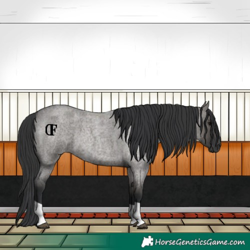 Horse Color:Unknown 