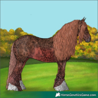 Horse Color:Watercolor Chestnut Ice