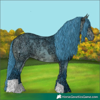 Horse Color:Watercolor Bay Ice 
