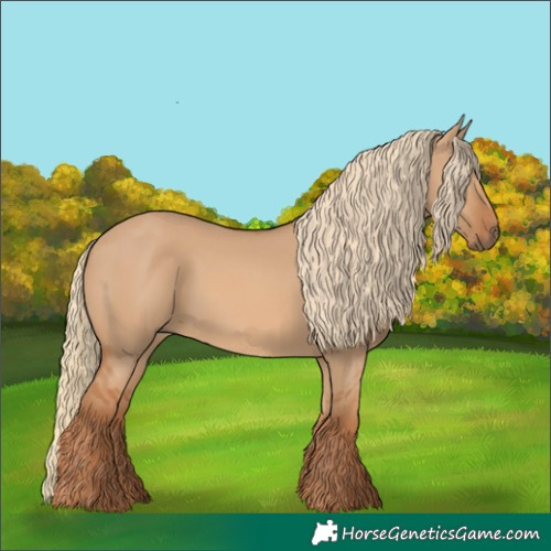 Horse Color:Red Dun Rabicano