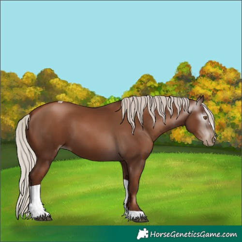 Horse Color:Gray Silver Black Pearl Tobiano 