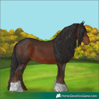 Horse Color:Liver Chestnut Tobiano 