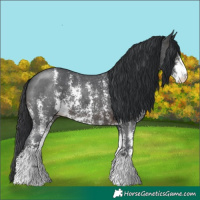 Horse Color:Brown Sabino