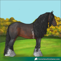 Horse Color:Brown Sabino 