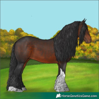 Horse Color:Brown Tobiano Rabicano