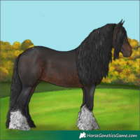 Horse Color:Brown Tobiano 