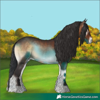 Horse Color:Brown Onyx