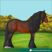 Horse Color:Brown 