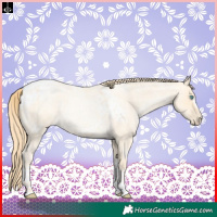 Horse Color:Buckskin Roan Pearl and Buckskin Roan Pearl Blanket