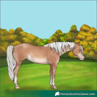 Horse Color:Silver Sable Champagne Tobiano Rabicano 