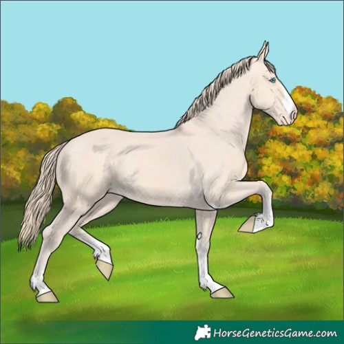 Horse Color:Perlino Varnish 
