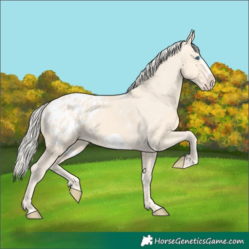 Horse Color:Cremello Frame Blanket