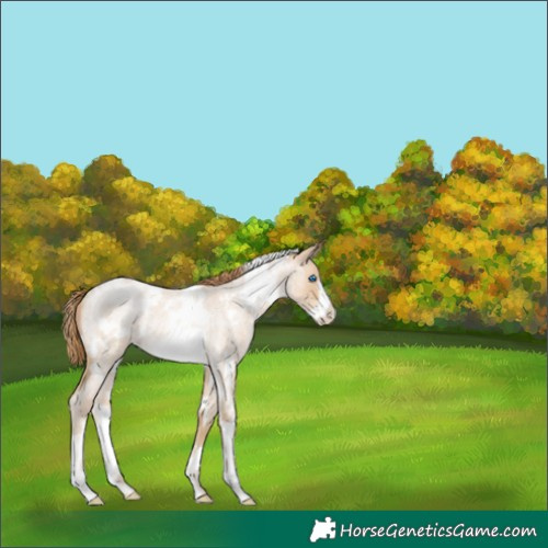 Horse Color:White Spotted Smoky Blue Roan Pearl Frame