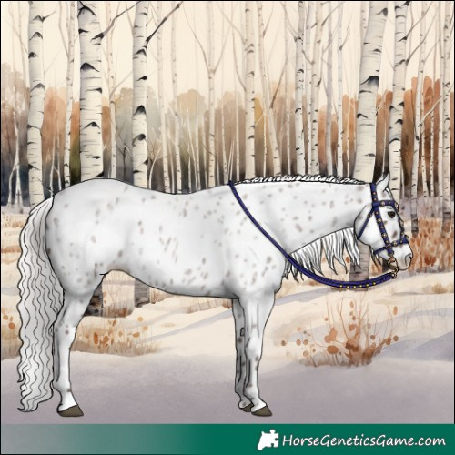 Horse Color:Silver Blue Roan Leopard 