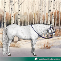 Horse Color:Silver Blue Roan Leopard 