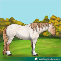 Horse Color:Red Dun Roan Tobiano
