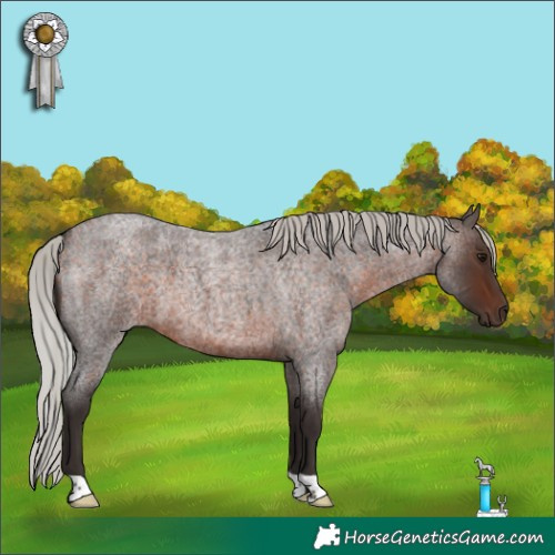 Horse Color:Silver Brown Roan 
