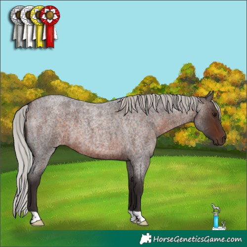 Horse Color:Silver Brown Roan 